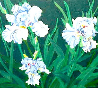 (Blue) Iris Group