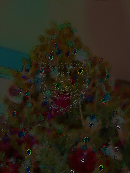 Christmas tree, ornaments, tinsel & colorful light