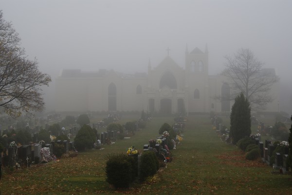 Very Foggy Today