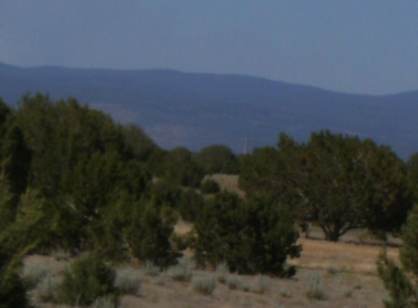 arizona