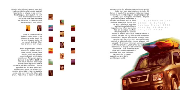 Annual report