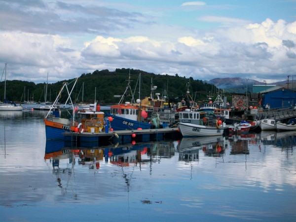 Scottish Harbour