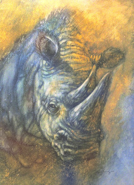 Rhino
