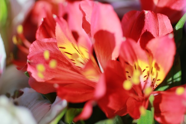 20120302 1