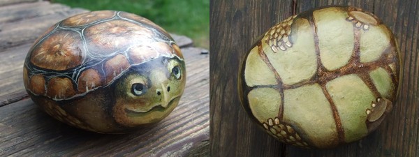 Rock turtle