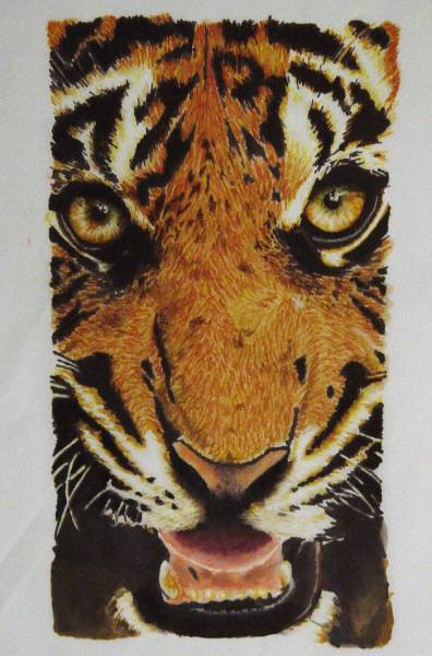 tiger