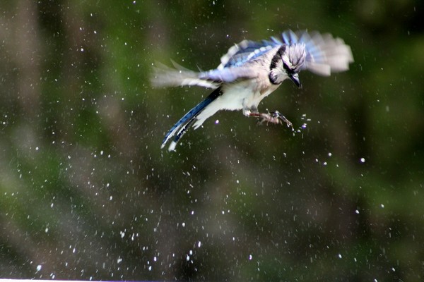 Up and away