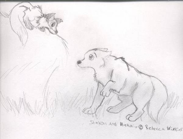 Wolf/fox
