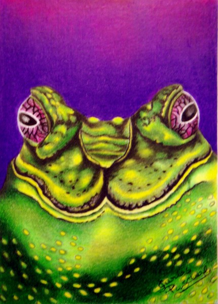 Black spined toad