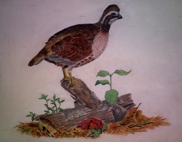 Grouse