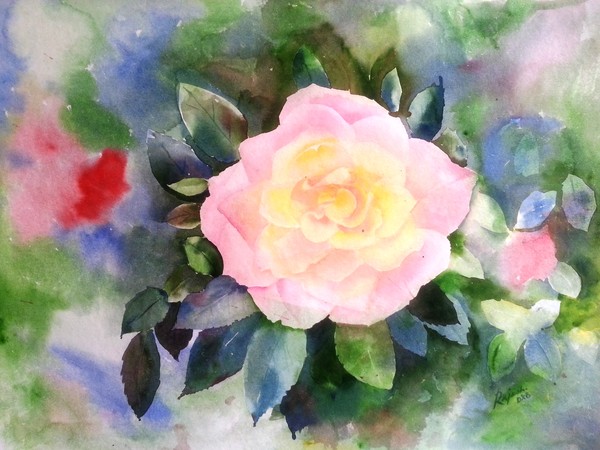 Lovely rose