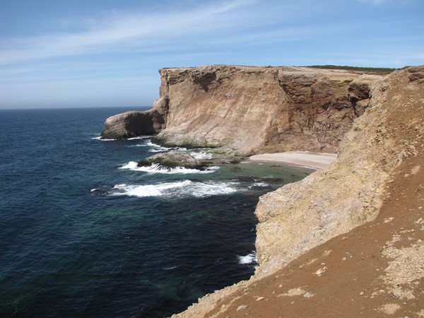 Newfoundland Shore
