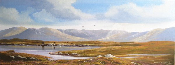 connemara april