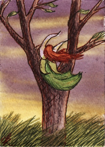 Windy Tree