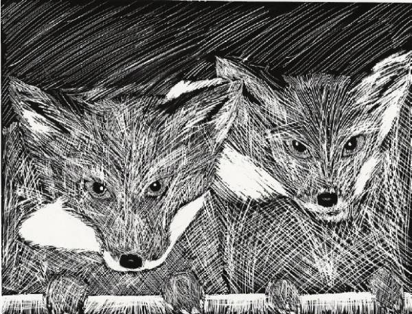 Foxes
