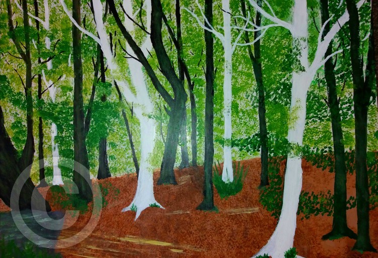 Forest of Angels