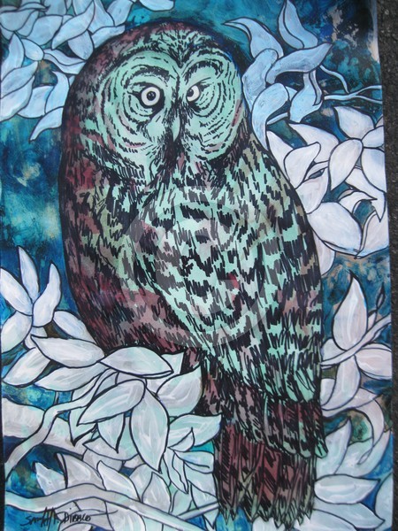 Single Owl
