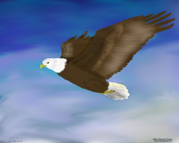 Soaring High