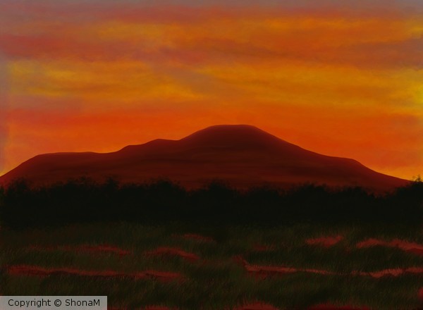 Outback Dreams