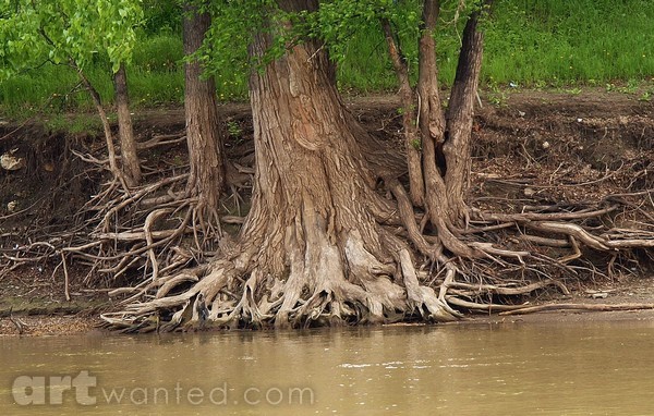 DOWN BY THE RIVER