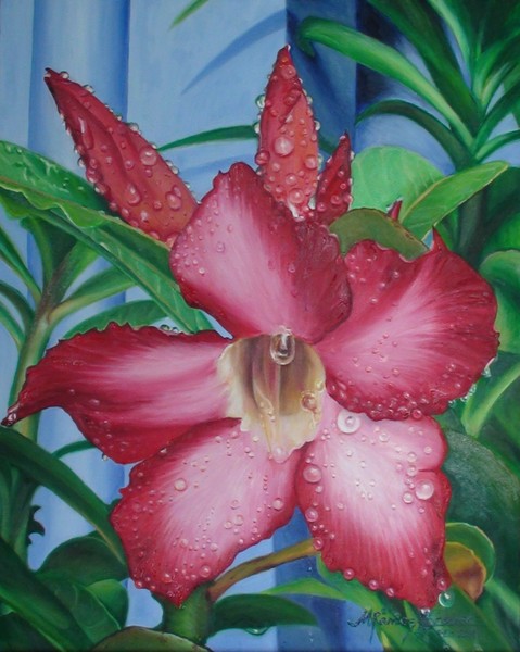 After the Rain