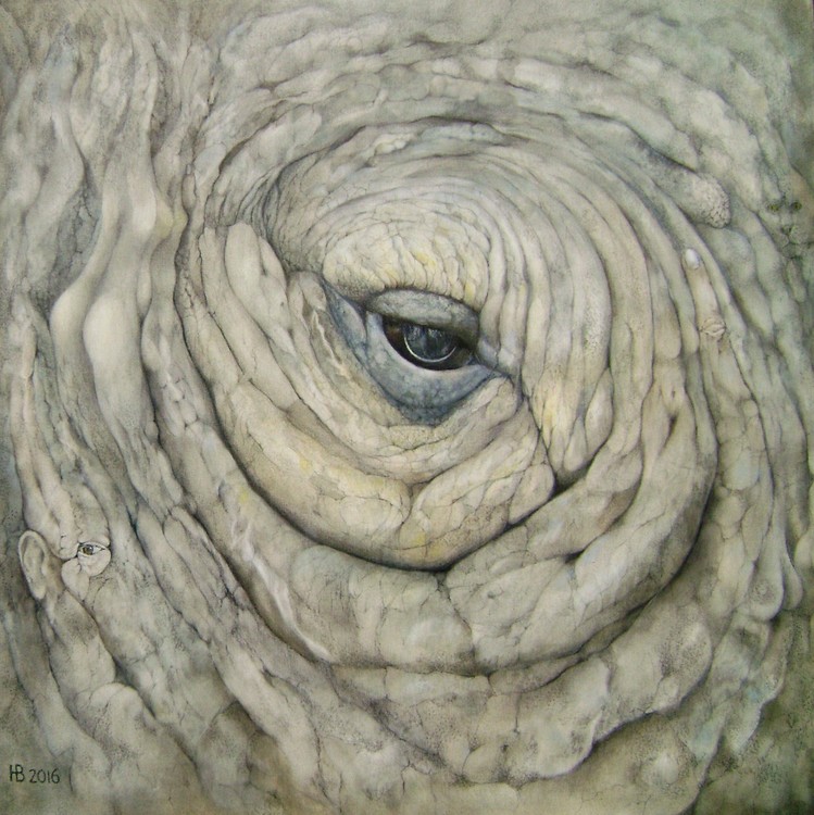 Ecce Rhino