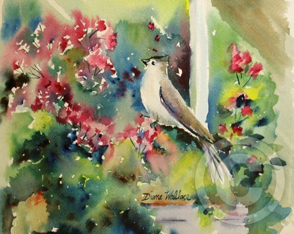 Spring Titmouse