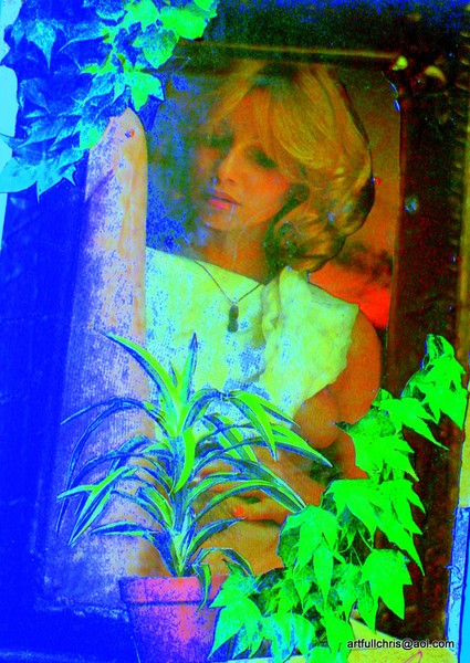DSC00531