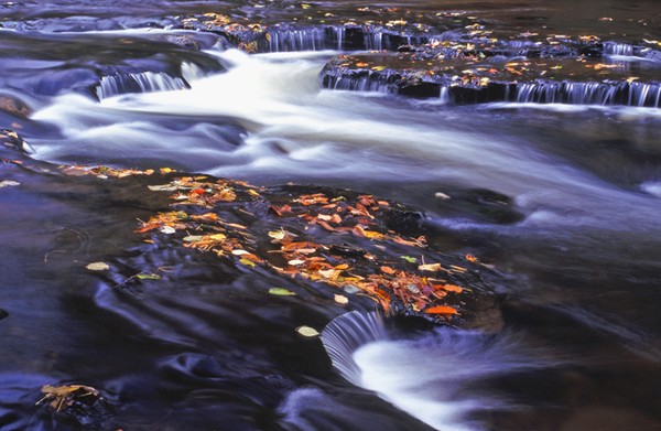 Going With The flow