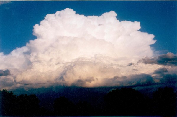 storm brewing