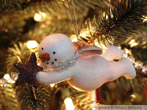 ORNAMENT 1