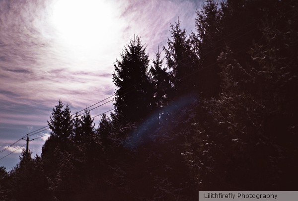 Sleeping Sun