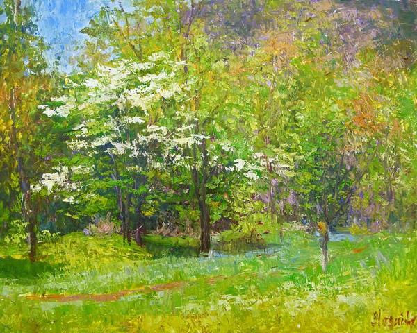 Spring blossoms
