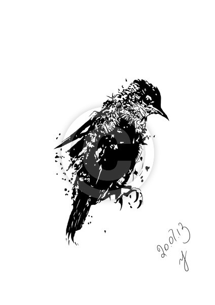 bird 
