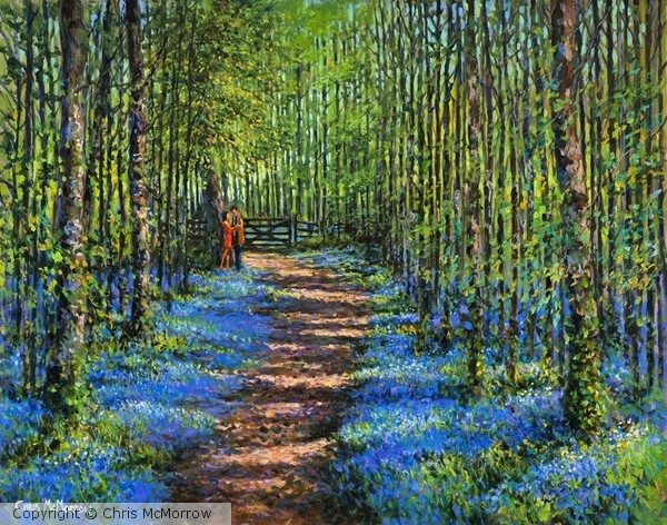 Bluebell Walk 