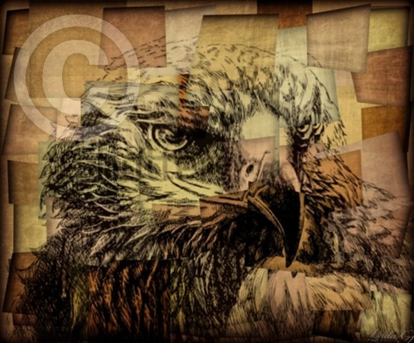 Bird of Prey