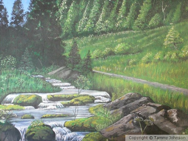 Logging creek Road
