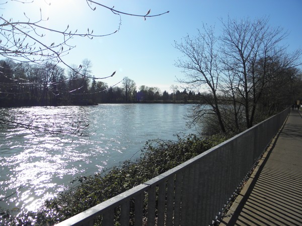 Willamette River, Eugene, Oregon