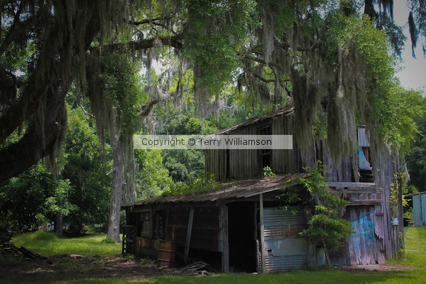 The old house beside Hwy 17