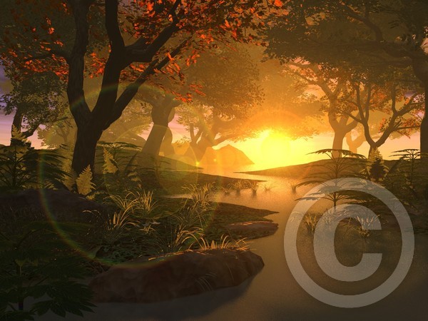 Sun Rise