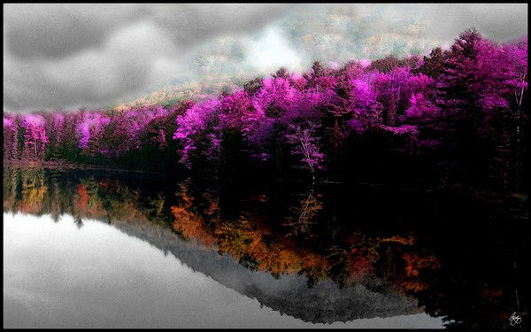 A Memory Inside a Dream