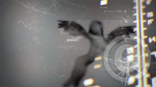 Various 004