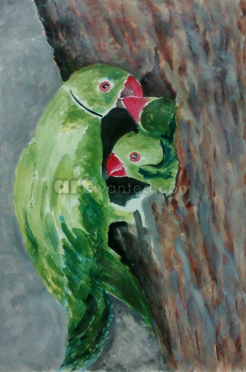 Ringed parrots