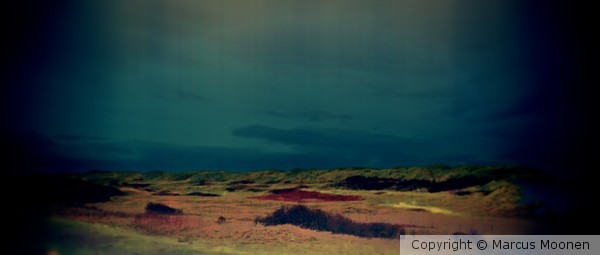 The Island #16