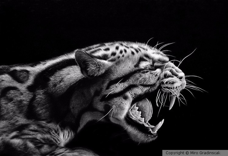 ANGER