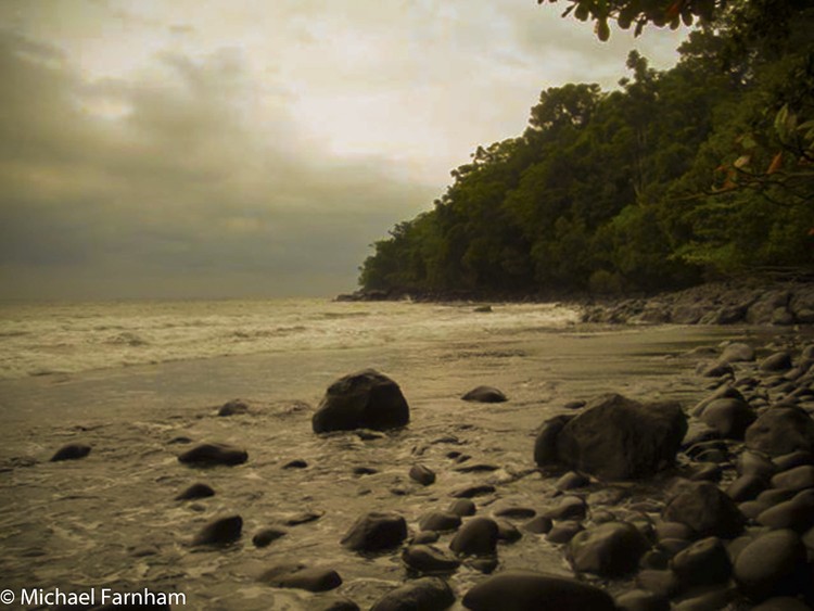 Early Morning , Coastal Central Africa 