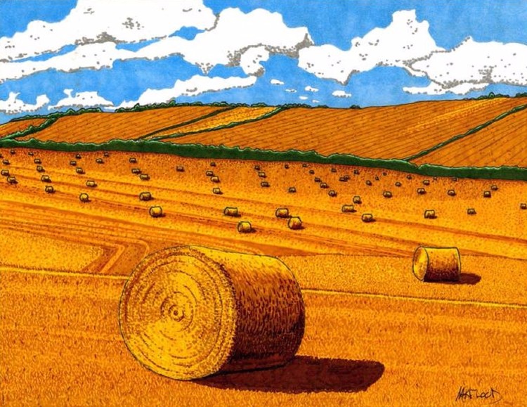 Hayday