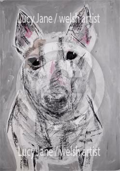 The British Bull Terrier 