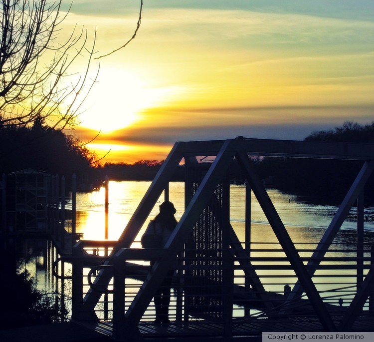 Marina Sunset