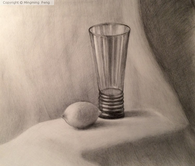 Pencil Sketch